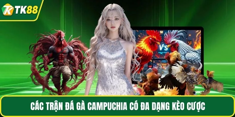 Các trận đá gà Campuchia có đa dạng kèo cược Các trận đá gà Campuchia có đa dạng kèo cược