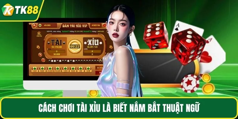 Cách chơi tài xỉu là biết nắm bắt thuật ngữ Cách chơi tài xỉu là biết nắm bắt thuật ngữ