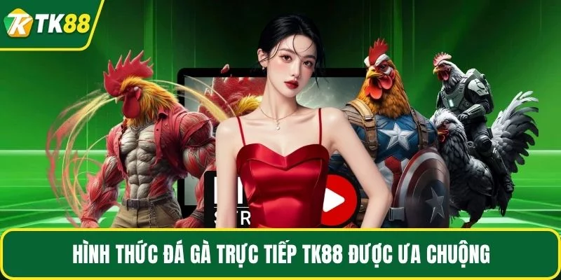 Hình thức đá gà trực tiếp TK88 được ưa chuộng Hình thức đá gà trực tiếp TK88 được ưa chuộng
