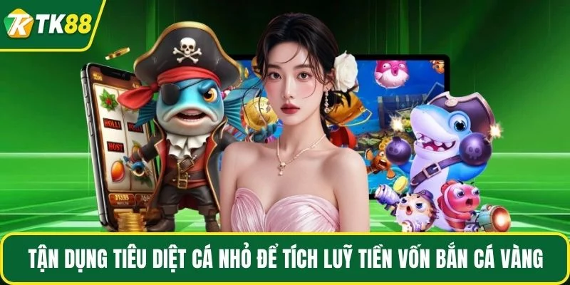 Tận dụng tiêu diệt cá nhỏ để tích luỹ tiền vốn bắn cá vàng Tận dụng tiêu diệt cá nhỏ để tích luỹ tiền vốn bắn cá vàng